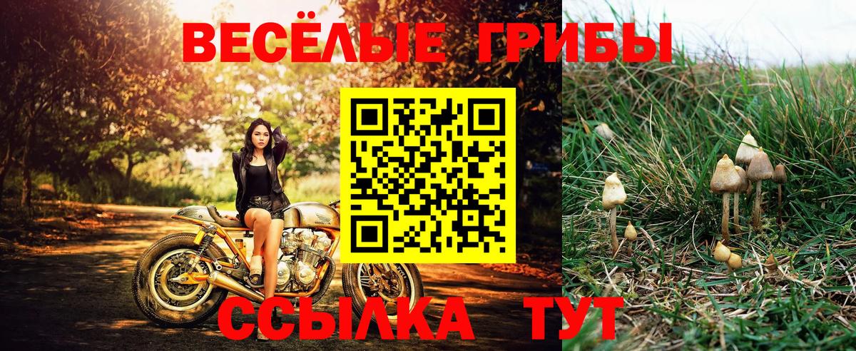 Галлюциногенные грибы мицелий  Вход с VPN  Кисловодск 
